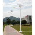 (BRSL-110) Lampadaire à LED solaire